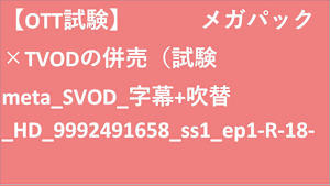 【OTT試験】メガパック×TVODの併売（試験meta_SVOD_字幕+吹替_HD(ディスプレイ)_9992491658_ss1_ep1