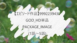 【エピソード作品】GOD_HD単品_9992239430のPackage名
