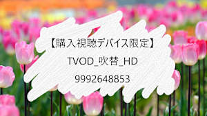 【購入視聴デバイス限定】_TVOD_吹替_HD_9992648853