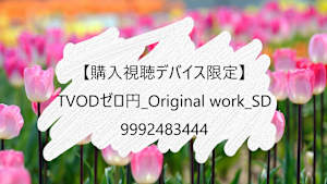 試験meta_TVOD_Original work_SD_9992483444