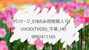 【視聴購入デバイス限定】_パッケージ_STB_UVOD(TVOD)_字幕_HD_9992411165