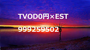  TVODゼロ円×ESTの併売（試験meta_EST_字幕+吹替_HD(ディスプレイ)_9992595020_ss1_ep1