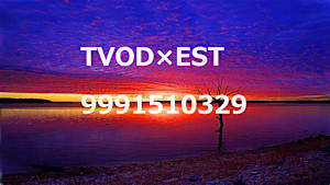 EST×TVODの併売（試験meta_EST_字幕_4K_9991510329