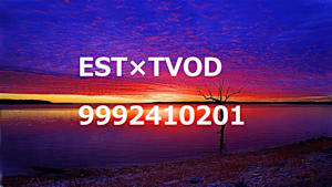 EST×TVODの併売（試験meta_TVOD_字幕_4K(ディスプレイ)_9992410201_ss1_ep1