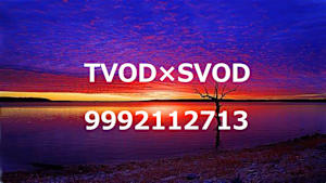 TVOD×SVODの併売（試験meta_TVOD_字幕+吹替_HD(ディスプレイ)_9992112713_ss1_ep1