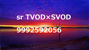 シリーズ名_試験meta_TVOD_字幕_HD_9992592056_TVOD_sr