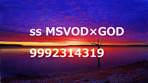 シリーズ名_試験meta_SVOD_Original work_HD_9992314317_SVOD_sr