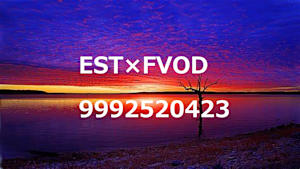 FVOD×ESTの併売_9992520423_ss1_ep1