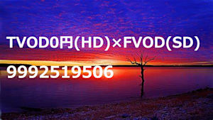 FVOD(SD)×TVOD0円(HD)_9992519506_ss1_ep1