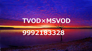 TVOD×MSVOD_9992183328_ss1_ep1