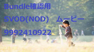 ★SVOD(NOD)_字幕_HD_9992410922