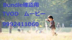 TVOD_字幕_HD_9992411060