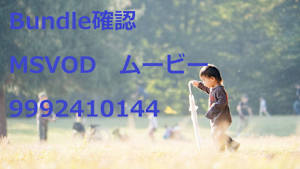 MSVOD_字幕_HD_9992410144