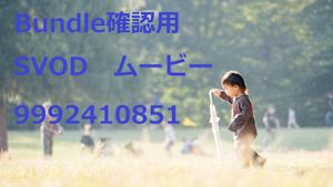 ★SVOD_字幕_HD_9992410851