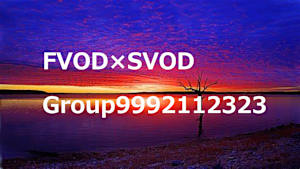 FVOD×SVODの併売_9992112323