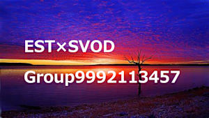 EST×SVODの併売_9992113457