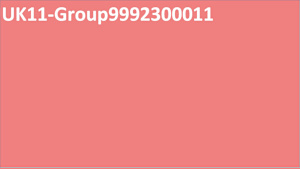 UK11-Group9992300011