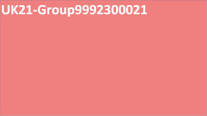 UK21-Group9992300021