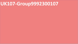 UK107-Group9992300107