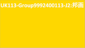 UK113-Group9992400113