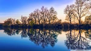 SVOD original あったクール再現するブレーキ