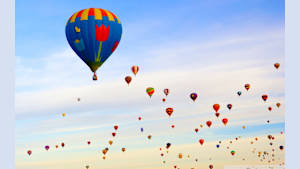 TVOD original 埋め込む溝ベルベットない