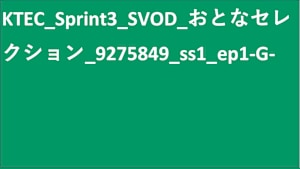 KTEC_Sprint3_SVOD_Original work_SD(ディスプレイ)_9275849_ss1_ep1