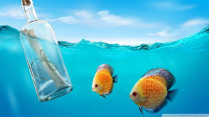 FVOD 字幕+音声 リハビリダニ私教授