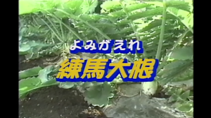 よみがえれ練馬大根