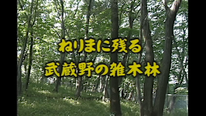 ねりまに残る武蔵野の雑木林