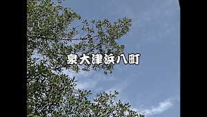 2006 泉大津浜八町連合