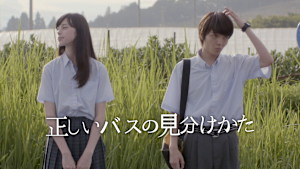 正しいバスの見分けかた